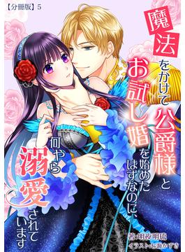 魔法をかけて公爵様とお試し婚を始めたはずなのに、何やら溺愛されています　【分冊版】5(アマゾナイトノベルズ)